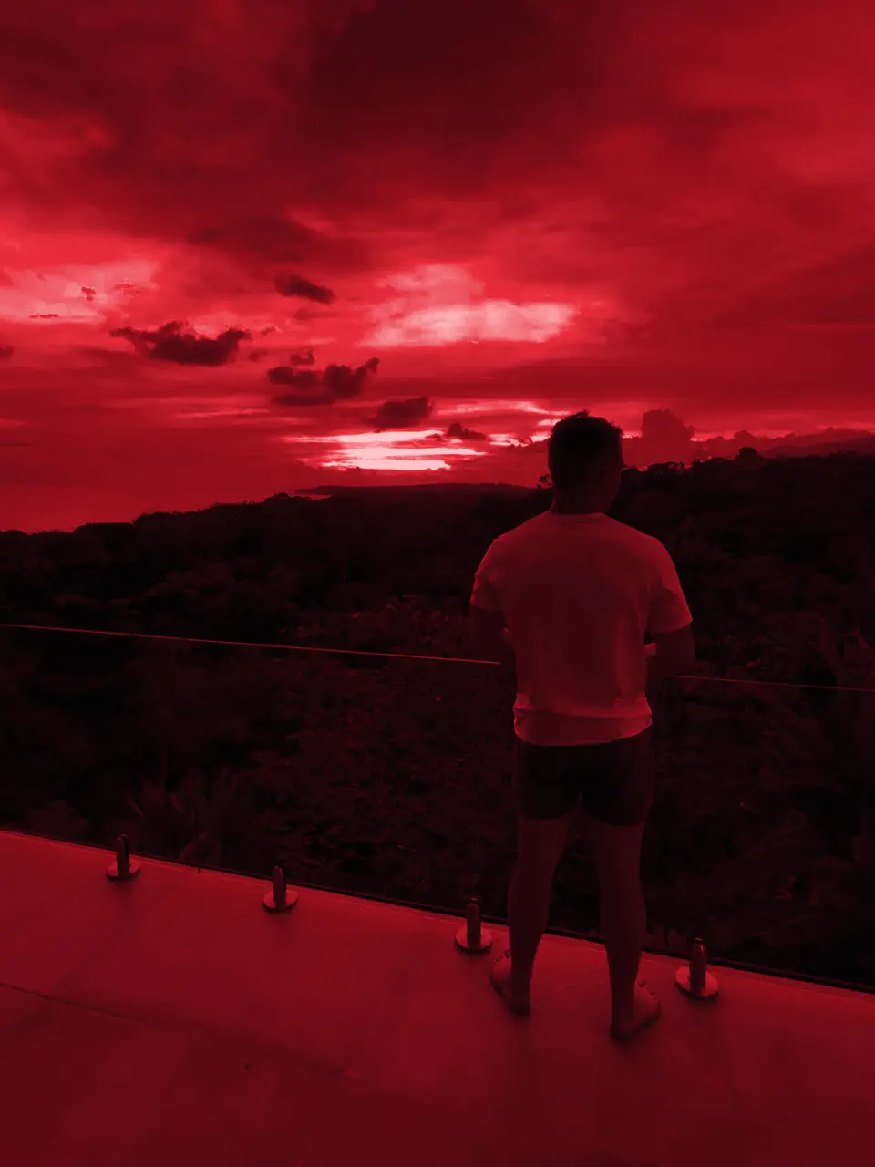 Looking out over the treeline at sunset